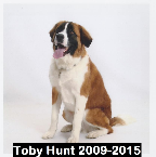 Toby Hunt 2009-2015